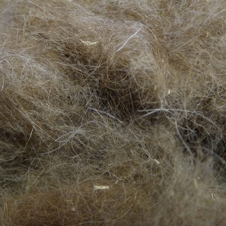 ラクダの毛を紡ぐ湿潤な昼下がり - maishims